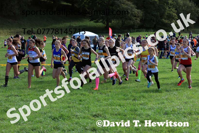 Girls under-13s 2024 Start Fitness NEHL, Thornley Hall Farm, Peterlee, Saturday, September 28th.   Photo: David T. Hewitson/Sports for All Pics
